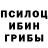 Галлюциногенные грибы Magic Shrooms XFresh 63