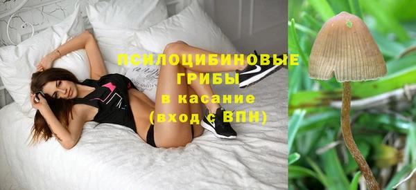 трава Балабаново