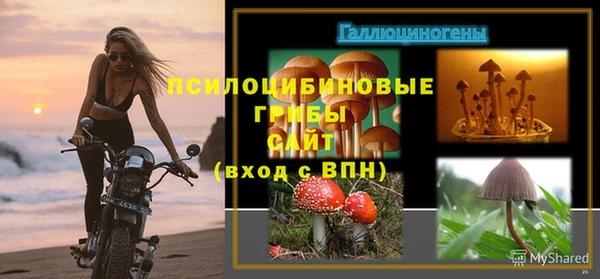 трава Балабаново