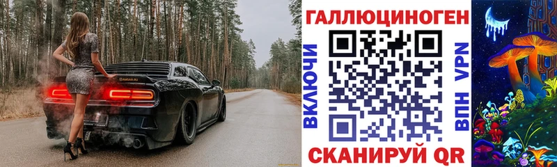 MEGA ссылки  Корсаков  Галлюциногенные грибы мицелий 