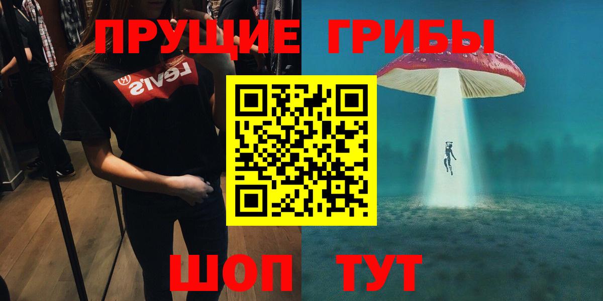 Псилоцибиновые грибы мицелий  Вход с VPN  Корсаков  Псилоцибиновые грибы GOLDEN TEACHER 