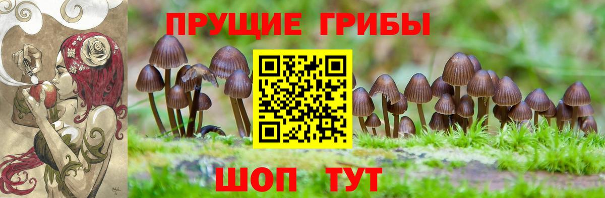 Галлюциногенные грибы ЛСД Корсаков