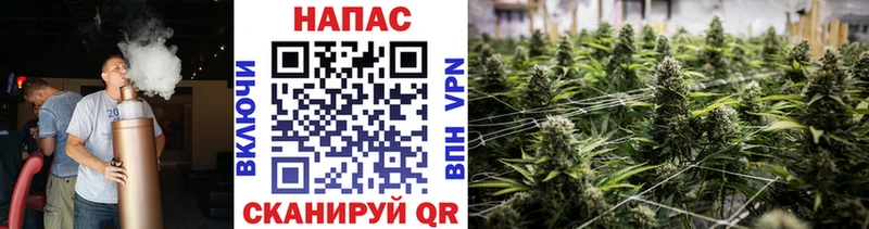 Шишки марихуана индика Корсаков